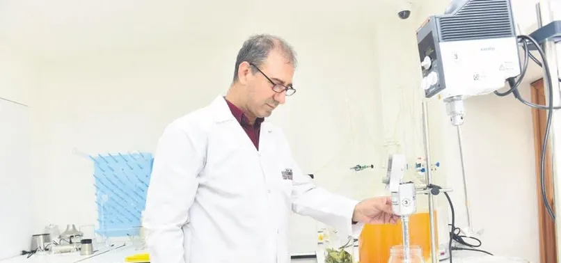 Kanserin panzehiri Zerdeçal