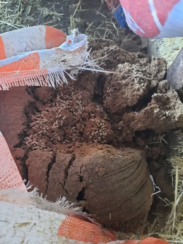burdurda-yogun-saganak-mahalle-gole-dondu-1638884181331.jpg Burdur’da yoğun sağanak! Mahalle göle döndü - 4