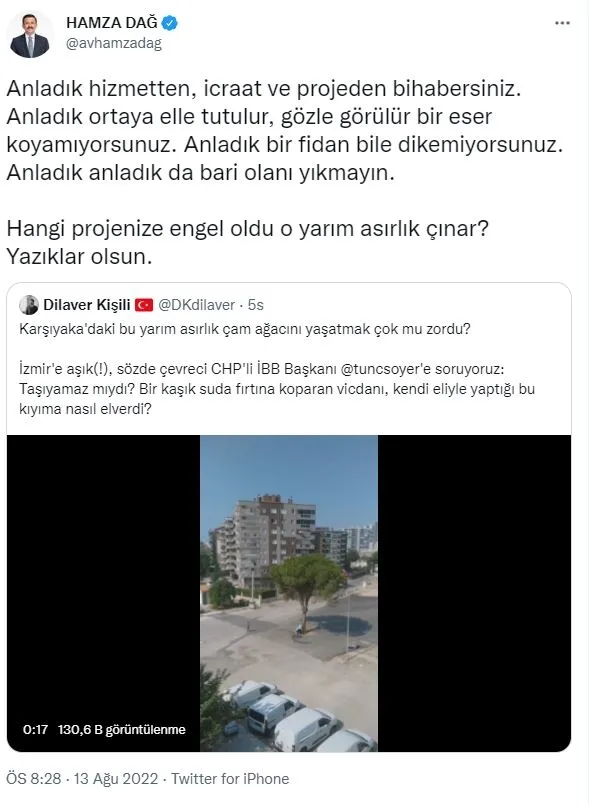 CHP’li İzmir Büyükşehir Belediyesi’nden ağaç katliamı! Yarım asırlık çam yok oldu