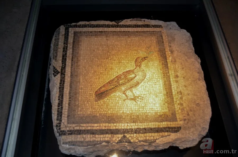 'Çingene Kızı' mozaiği Türkiye'ye getirildi 7