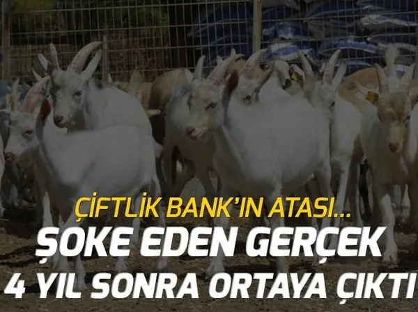 İstanbul Başakşehir'de feci kaza! - 1