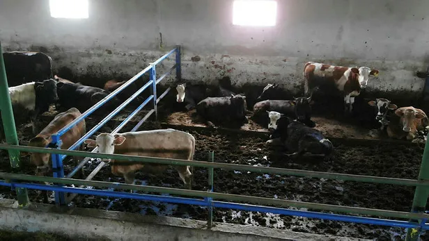 Son dakika açıklandı! Bayramda yasak var mı? 20-23 Temmuz Kurban Bayramı’nda sokağa çıkma yasağı olacak mı?