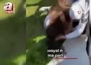 Genç kızların sosyal medya tartışması tekme tokat kavgaya dönüştü