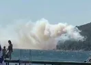 Burgazadada ormanlık alanda yangın çıktı