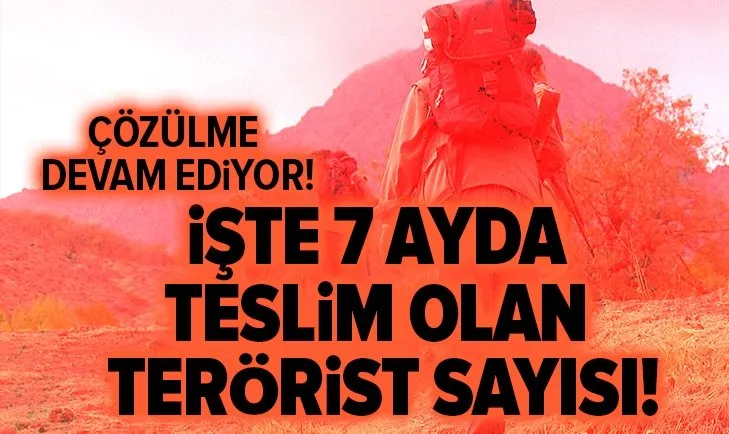Son dakika: Terör örgütünde çözülme devam ediyor! 1 terörist daha teslim oldu