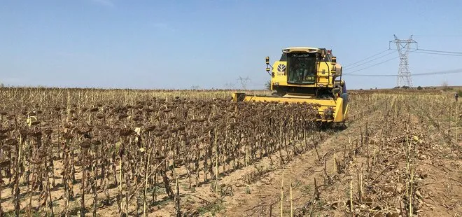 Türkiye’den tarımda atılım: Atıl tarım arazileri üretime kazandırılacak