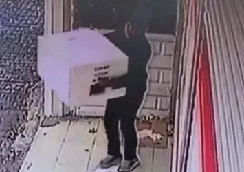 Batman’da hırsızlar kedi barınağını çaldı