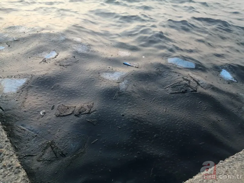 İzmir'de denize petrol türevi atıklar sızdı 4