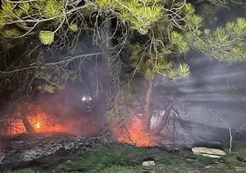 Bolu Mudurnu'da orman yangını!