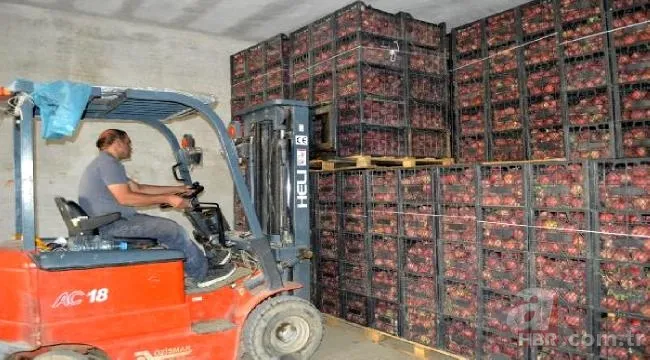 Bahçede görüp etkilendi kariyerini bıraktı! Şimdi hayatı değişti! 10 yılda... 2