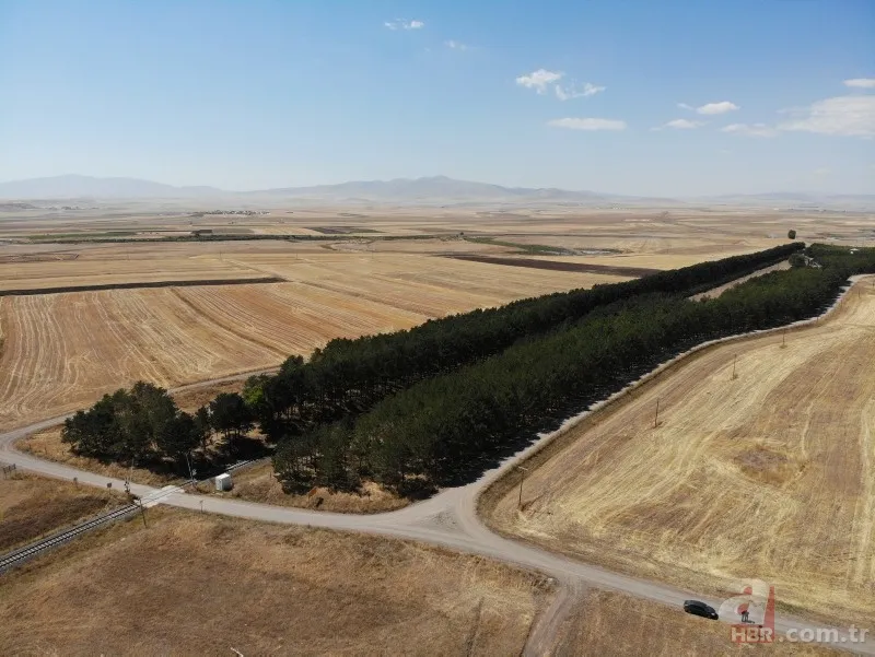 Bozkırın ortasında yemyeşil doğa! Hayran bırakan görüntüler 11