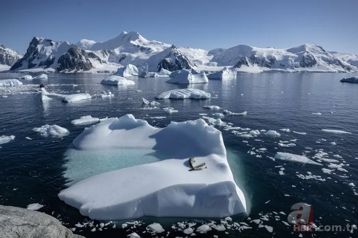 Canlı yaşamının koruyucuları! Türk bilim insanları Antartika’da kirliliğin peşinde!