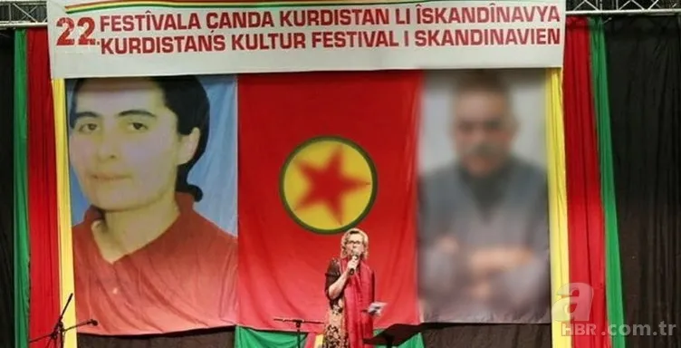 PKK paçavrası İsveç'i karıştırdı! Kriz çıkaran fotoğraf 4