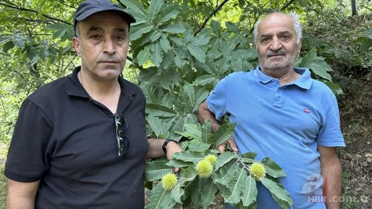 İnternetten gördü yapılamaz denileni yaptı! İlçede bir ilk: Hasat için geri sayım başladı 11