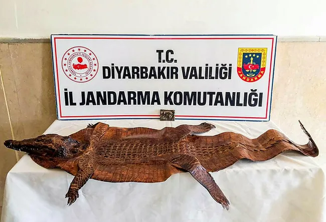 diyarbakirda-2-milyon-dolarlik-tarihi-eser-operasyonu-4-gozalti-1640859742443.jpg Diyarbakır’da 2 milyon dolarlık tarihi eser operasyonu: 4 gözaltı - 1