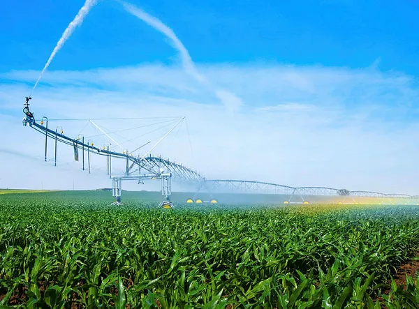 Tarım ve Orman Bakanı Bekir Pakdemirli büyük hedefi açıkladı: 2023’e kadar...