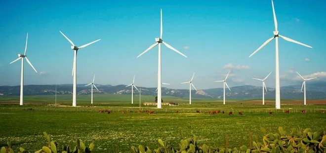 Türkiye rüzgar enerjisinde dünyaya fark attı