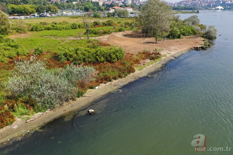 CHP'li İBB'nin Haliç yalanı! Kirlilik yine gün yüzüne çıktı 3