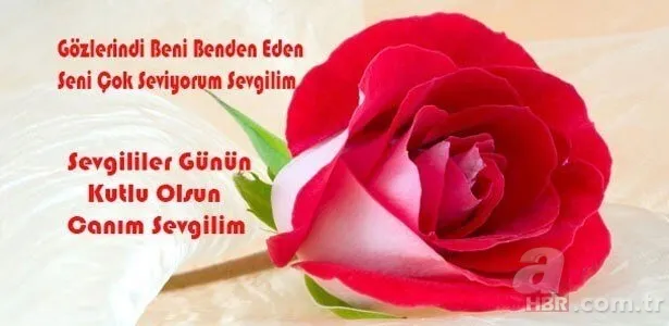 Sevgililer Günü hediyesi bayan için erkek için neler alınabilir? 14 şubat Sevgililer Günü hediye fikirleri 4