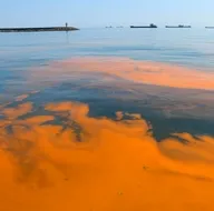 Marmara Denizinde ürküten görüntü! Deniz suyu turuncuya büründü! İşte sebebi...