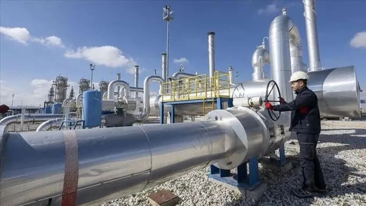 Enerji koridoru Türkiye! Rus gazına alternatif kaynak