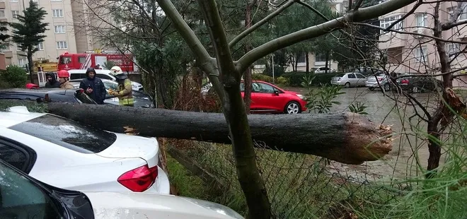 İstanbul’da fırtınanın bilançosu belli oldu! Marmara Adası'nda minarenin külahı yıkıldı