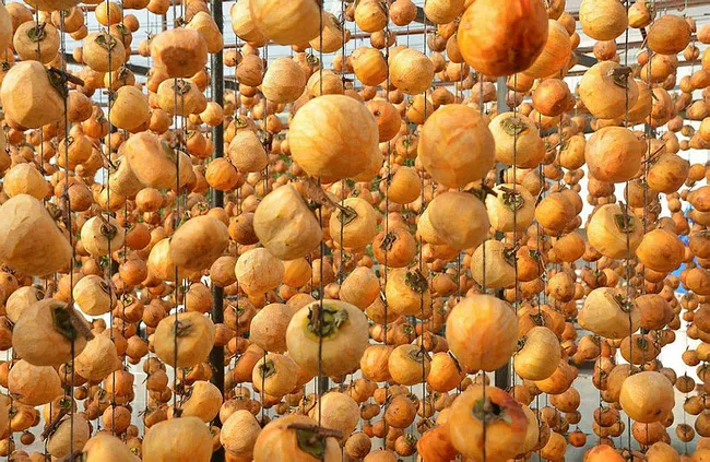 Manisalı Melek 40 kilo ile başladı şimdi yıllık 50 ton cennet elmasını kurutup satıyor - 5