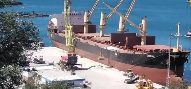 Türk şirketine ait gemi Şangay'da battı