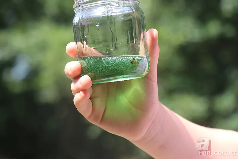 Kovandan çıkan bal görenleri şaşkına çevirdi! Kilosu 20 bin TL... 9