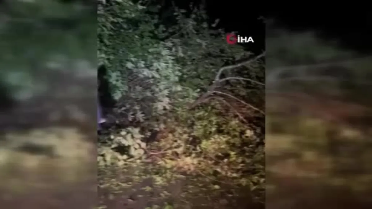 Rize'de şiddetli yağışlar sel ve heyelanlara neden oldu