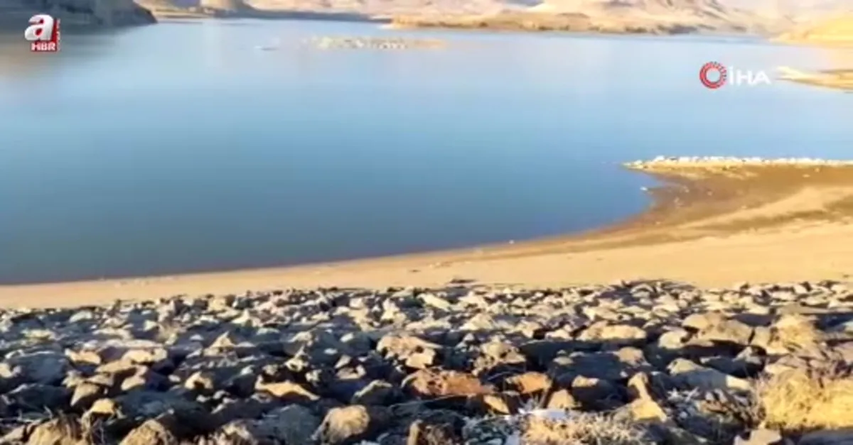 Erciş'teki barajları kuraklık vurdu