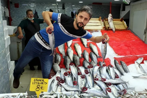 Balıkseverlere müjde! Yarım kiloluk palamut 15 lira