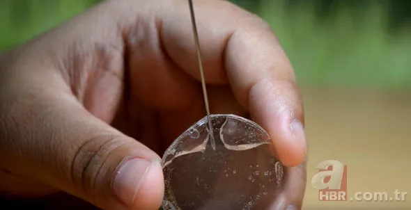 Pet şişe meğer bakın ne işe yarıyormuş? 20