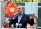 Dışişleri Bakanı Mevlüt Çavuşoğlundan Arakan açıklaması