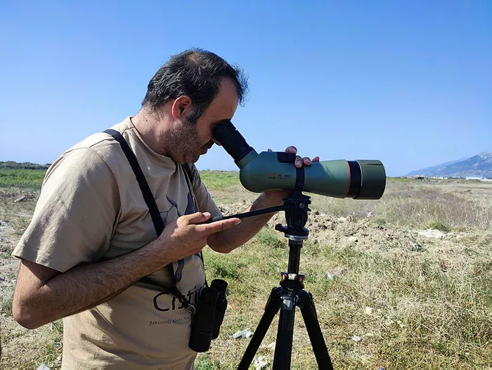 Kara Taşkuşu (Saxicola caprata) Türkiye'de ilk defa Hatay'da görüldü - 4