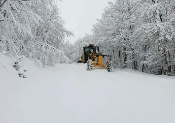 Meteoroloji'den son dakika hava durumu açıklaması! Kar yağışı uyarısı geldi | 20 Kasım 2020 hava durumu