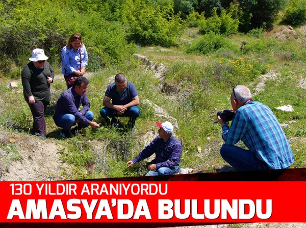 İstanbul'da şaşırtan olay! Toplu iğneli çikolatayı yedirecekti - 1