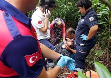 Zonguldak'ta kestane topluyordu! Saniyeler içinde bu hale geldi...