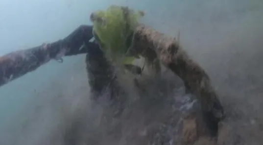 İstanbul'da deniz salyası şoku! Menekşe Deresi de... - 6