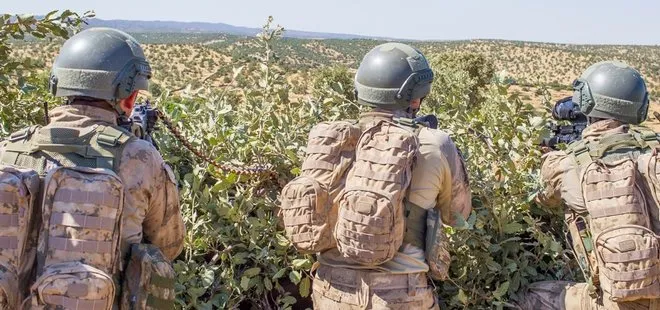 Mardin’de PKK’ya operasyon! Her yerde aranıyorlar
