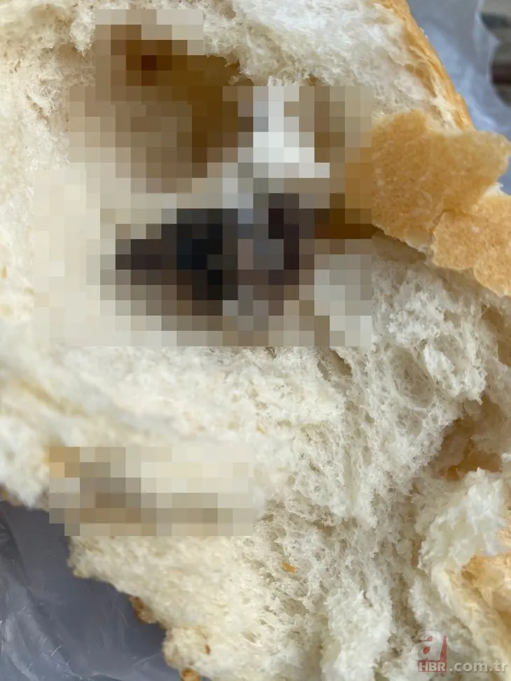 Antalya’da pes dedirten olay! Piknikte ekmeği böldüklerinde hayatlarının şokunu yaşadılar