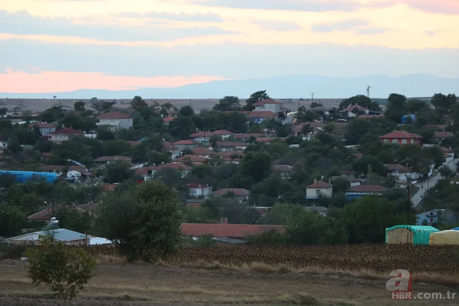 Edirne’de kan emen sinekten bulaşan ‘mavi dil’ hastalığı 8 köyü kapattı 9