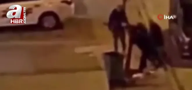 Kayseri'de ağacı söken 4 kişiye ceza