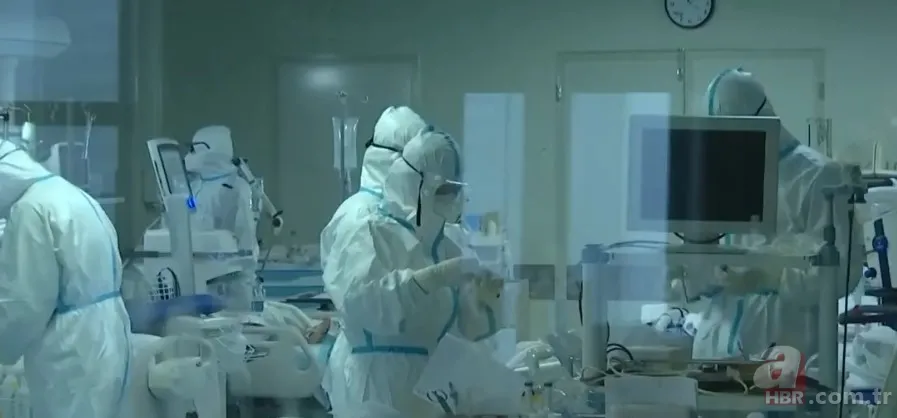 Covid-19'un mutasyon geçirip geçirmediği nasıl anlaşılıyor? Virüs neden mutasyon geçirdi? Mutasyon nedir? 8