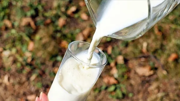 1663258222627.jpg Litre başına 7,50 lira kazandıracak! Üreticiler dikkat! 1 Ekim itibarıyla başlıyor... Süt fiyatları değişecek - 2