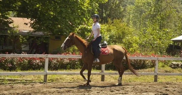 ‘Vermem Seni Ellere’ için hazırlıklar başladı! Buse Meral yeni rolü için binicilik eğitimi aldı