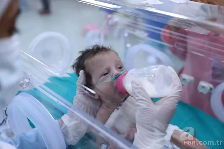 Şifa Hastanesi’nden çıkarılan 28 prematüre bebek Mısır’da! Artık birer kuvözleri var