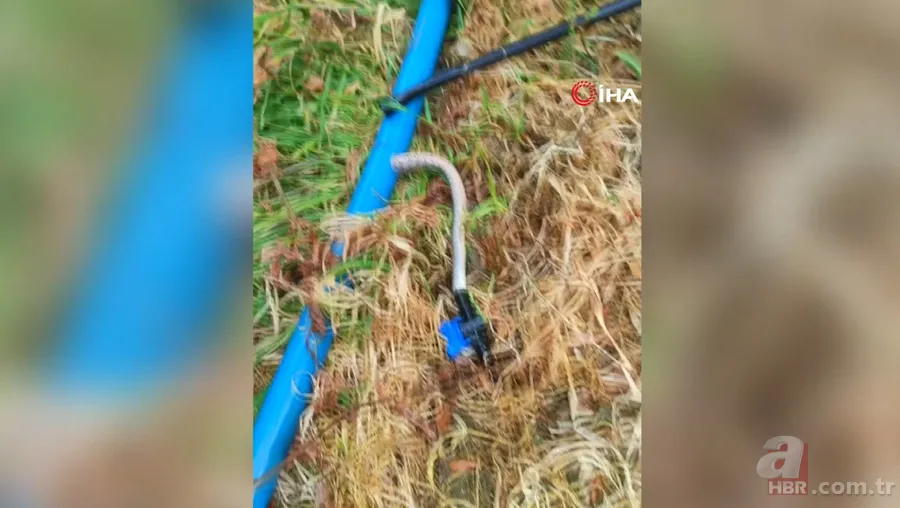Tıkanan su borusundan çıkan şoke etti! 1 buçuk metrelik... 1