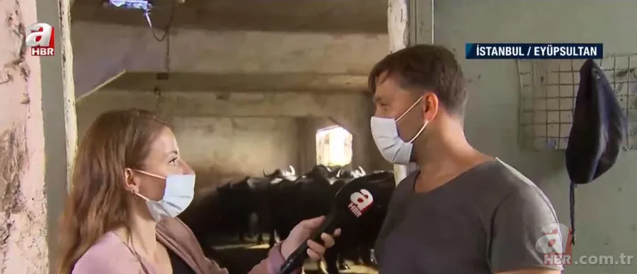 Lezzetli manda yoğurdu nasıl yapılır? | Doğal ortamında manda yoğurdu 1