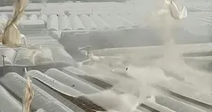 Hortum felaketi! 1000 dönüm sera yerle bir